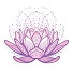 Lotus flower of many dimensions